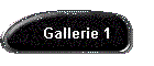 Gallerie 1